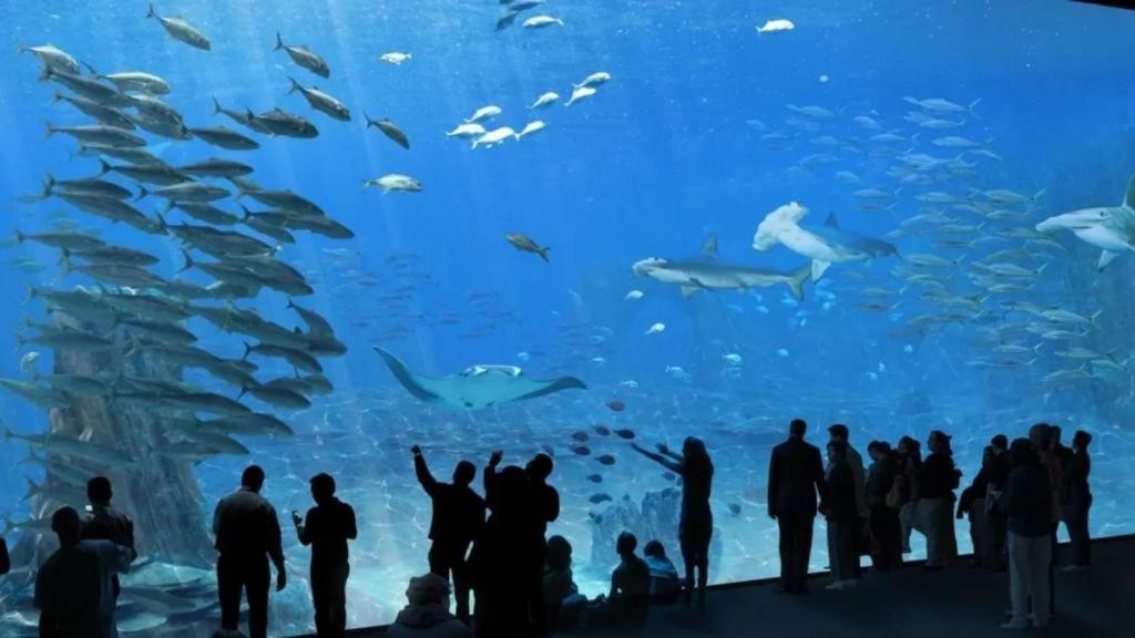 La Tanatte De Wimereux Sur La Cote D Opale Kültér fotó